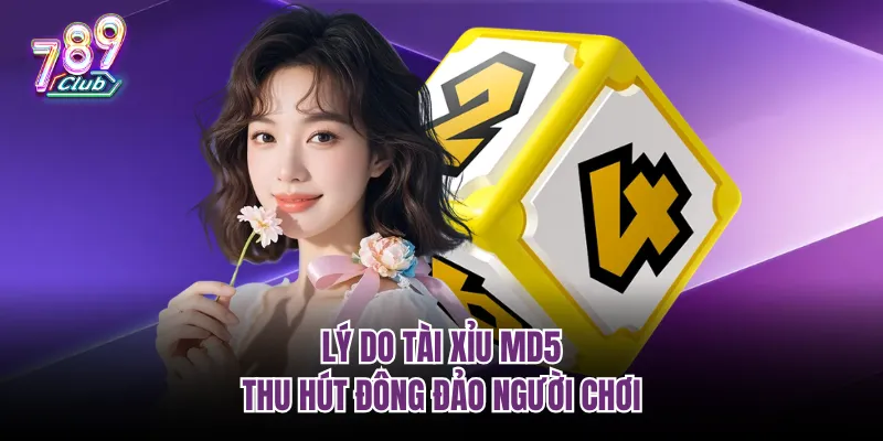 Lý do tài xỉu MD5 thu hút đông đảo người chơi
